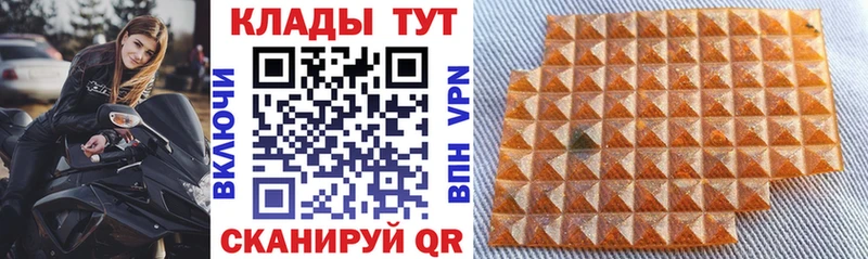 Конопля Махачкала