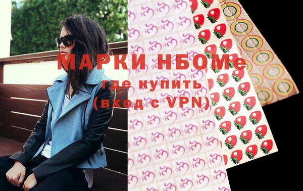 хмурый Бородино