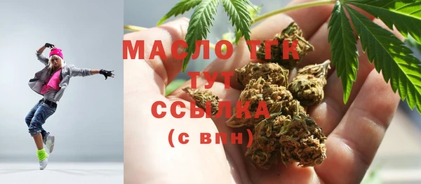 хмурый Бородино