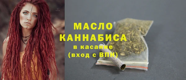хмурый Бородино