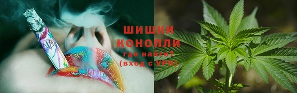 хмурый Бородино