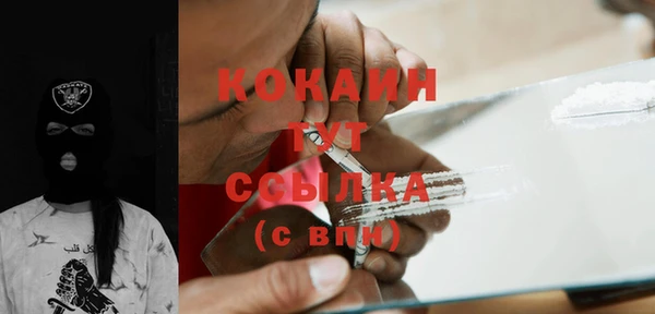 хмурый Бородино