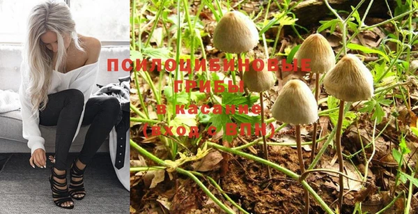 стафф Бугульма