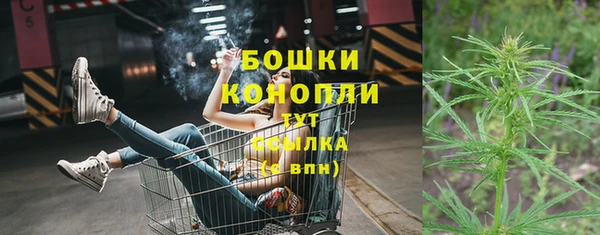 хмурый Бородино