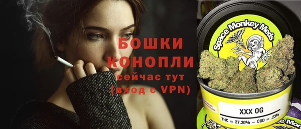 хмурый Бородино