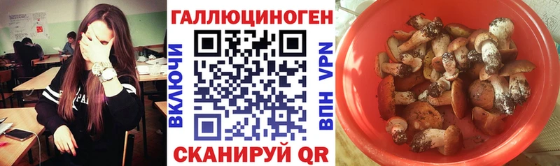 Галлюциногенные грибы GOLDEN TEACHER Махачкала